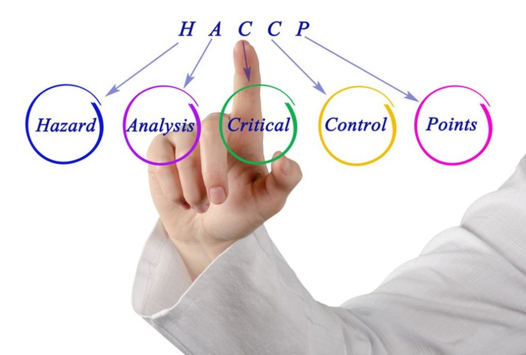 aggiornamento corso HACCP